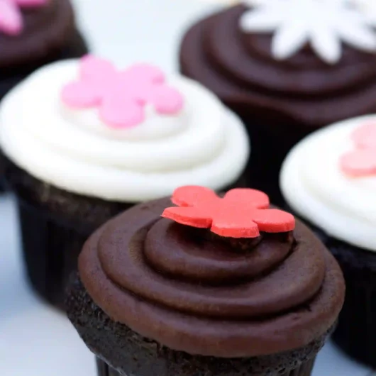 Eggless Bliss: Chocolate Cupcakes for Two